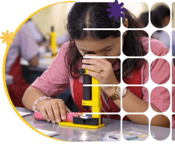 Science in Action hero – transforming classrooms into labs of discovery