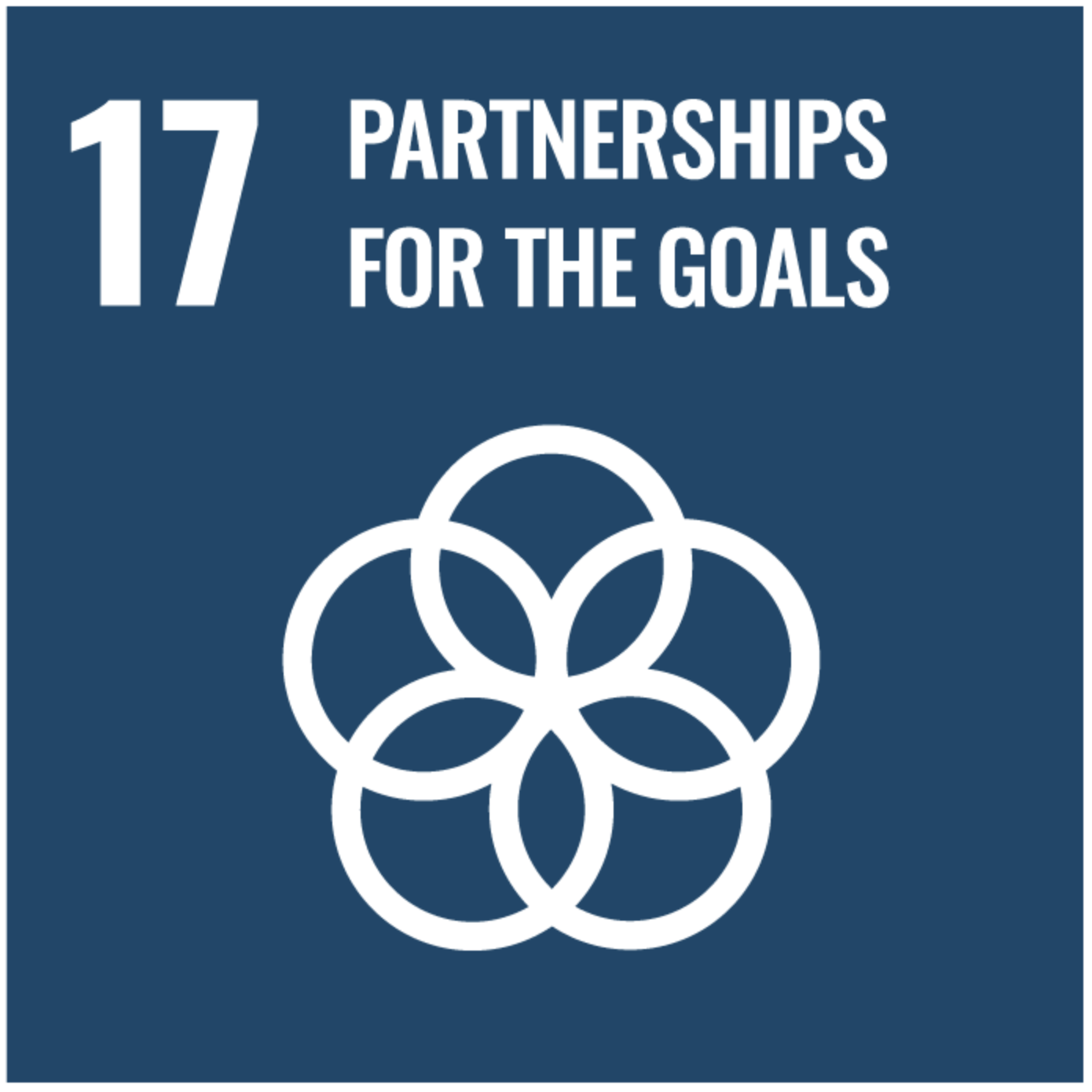 UN SDG 17 Partnerships – NGO and corporate collaboration for STEM education